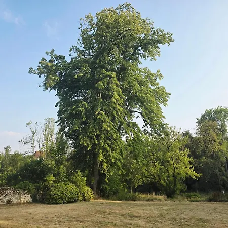 Gasthof D'hotes Les Sources Essomes-sur-Marne